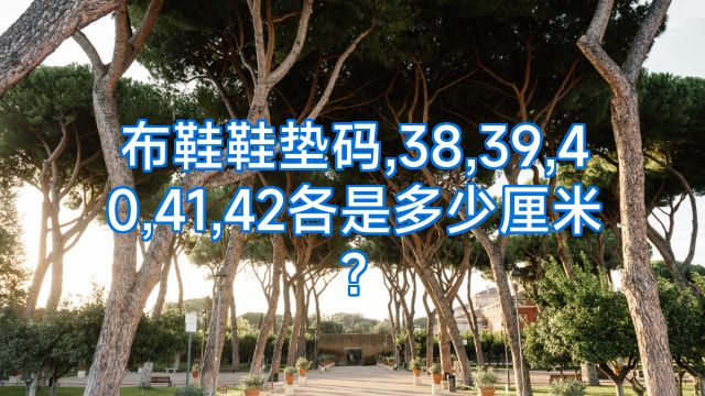 布鞋鞋垫码,38,39,40,41,42各是多少厘米?