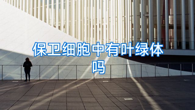 保卫细胞中有叶绿体吗