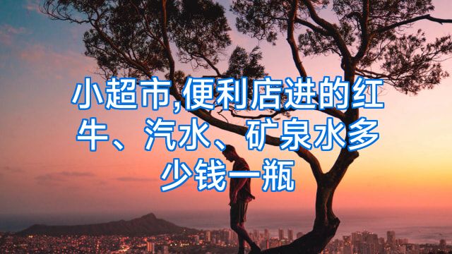 小超市,便利店进的红牛、汽水、矿泉水多少钱一瓶