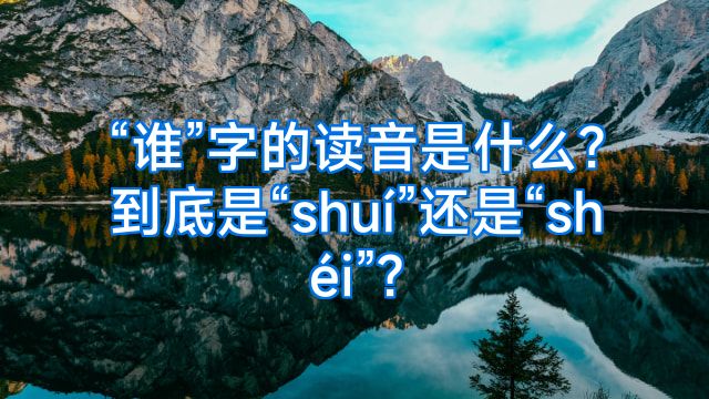 “谁”字的读音是什么?到底是“shuí”还是“shéi”?