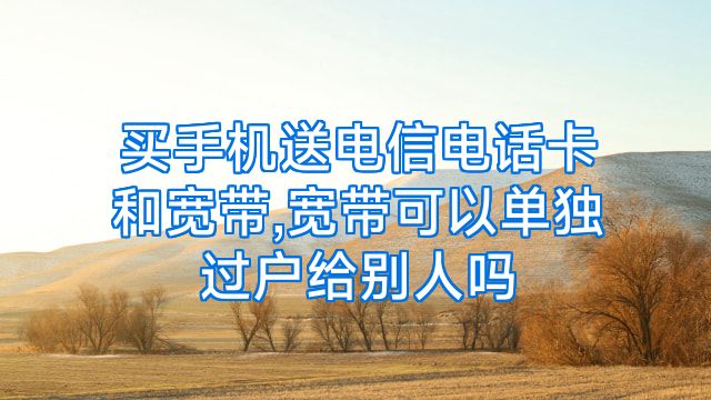 买手机送电信电话卡和宽带,宽带可以单独过户给别人吗