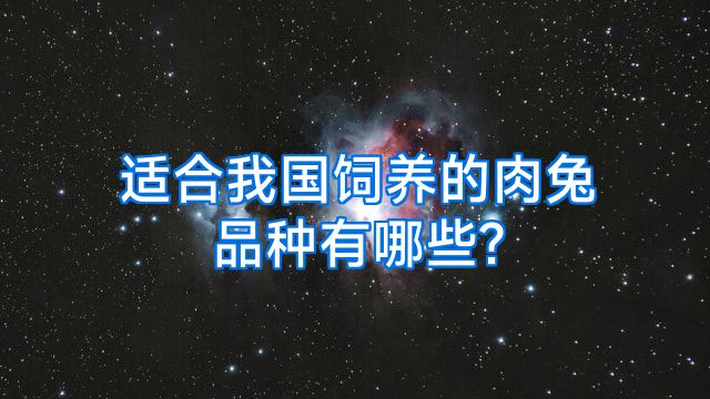 适合我国饲养的肉兔品种有哪些?