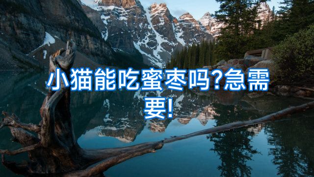 小猫能吃蜜枣吗?急需要!