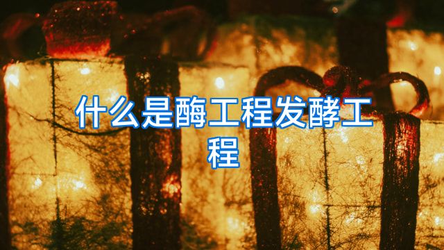 什么是酶工程发酵工程