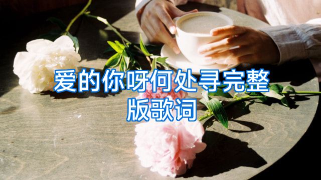 爱的你呀何处寻完整版歌词