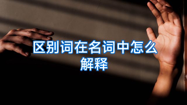 区别词在名词中怎么解释