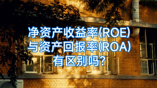 净资产收益率(ROE)与资产回报率(ROA)有区别吗?