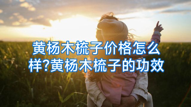 黄杨木梳子价格怎么样?黄杨木梳子的功效