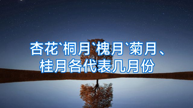 杏花`桐月`槐月`菊月、桂月各代表几月份