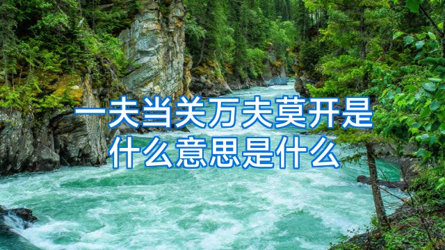 一夫当关万夫莫开是什么意思是什么