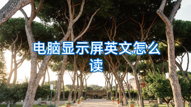 电脑显示屏英文怎么读