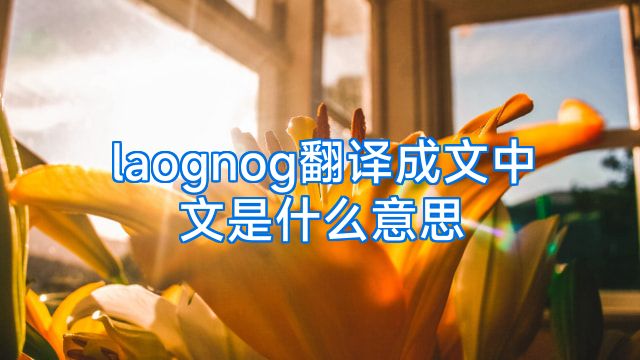 laognog翻译成文中文是什么意思