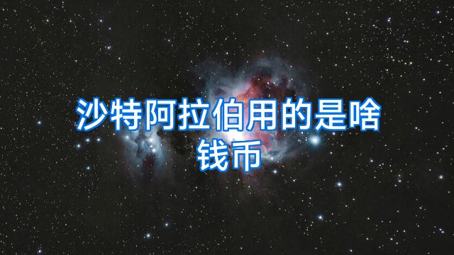 沙特阿拉伯用的是啥钱币