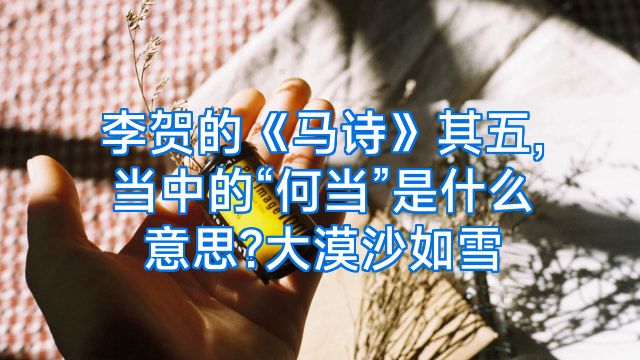 李贺的《马诗》其五,当中的“何当”是什么意思?大漠沙如雪