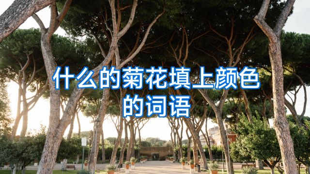 什么的菊花填上颜色的词语