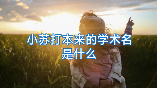 小苏打本来的学术名是什么