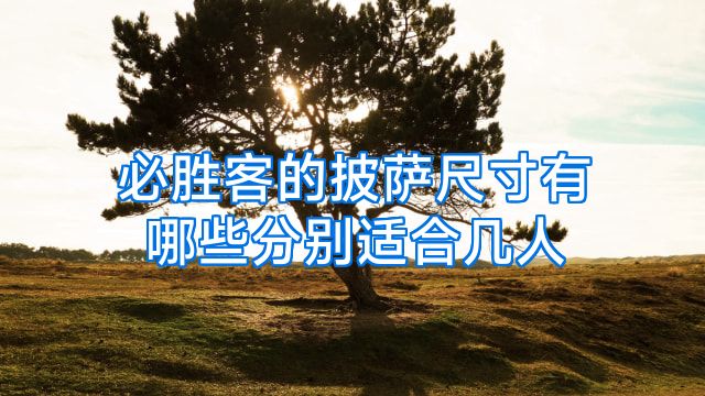 必胜客的披萨尺寸有哪些分别适合几人