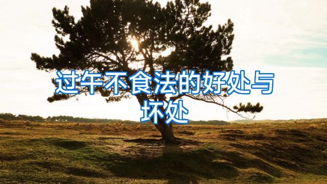 过午不食法的好处与坏处