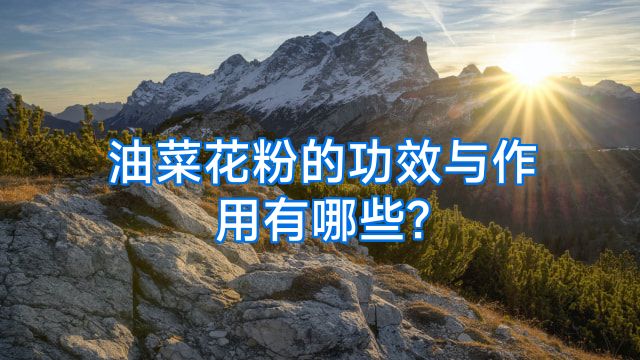 油菜花粉的功效与作用有哪些?