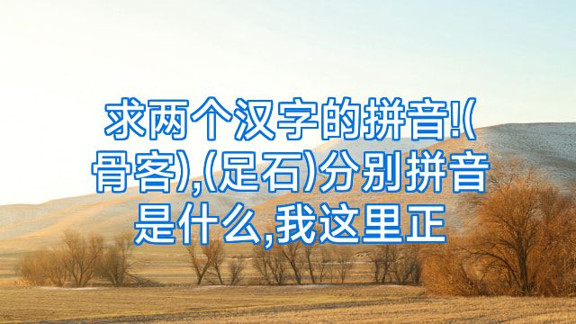 求两个汉字的拼音!(骨客),(足石)分别拼音是什么,我这里正