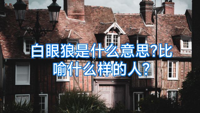 白眼狼是什么意思?比喻什么样的人?