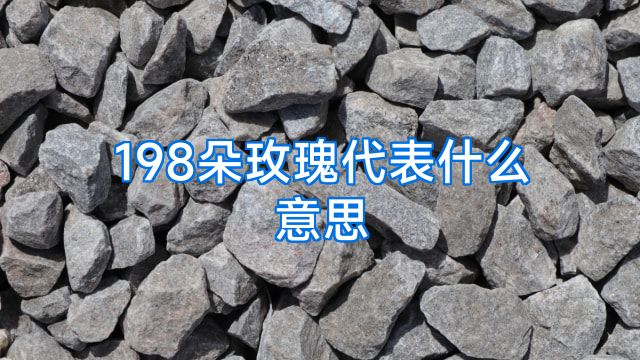 198朵玫瑰代表什么意思