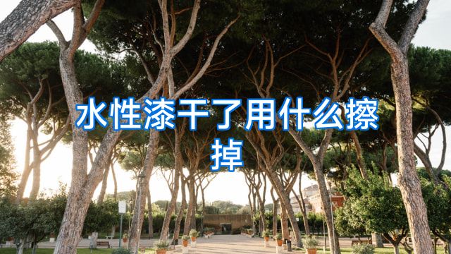 水性漆干了用什么擦掉