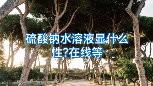 硫酸钠水溶液显什么性?在线等
