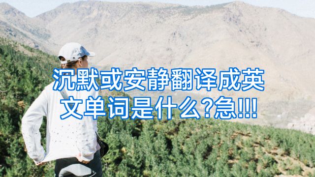 沉默或安静翻译成英文单词是什么?急!!!