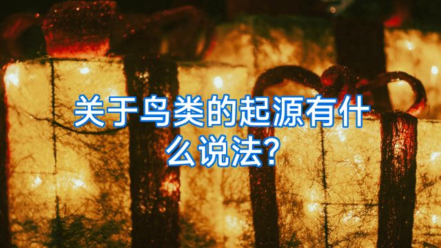 关于鸟类的起源有什么说法?