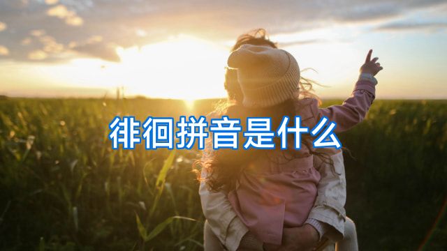 徘徊拼音是什么