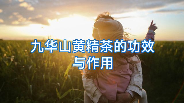 九华山黄精茶的功效与作用