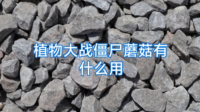 植物大战僵尸蘑菇有什么用