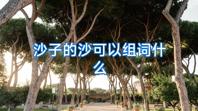 沙子的沙可以组词什么