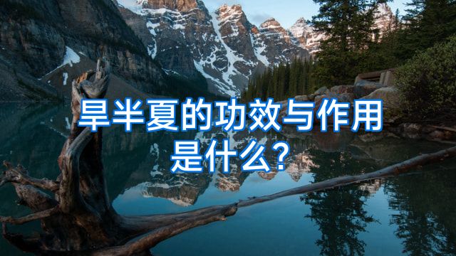 旱半夏的功效与作用是什么?