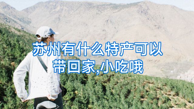 苏州有什么特产可以带回家,小吃哦