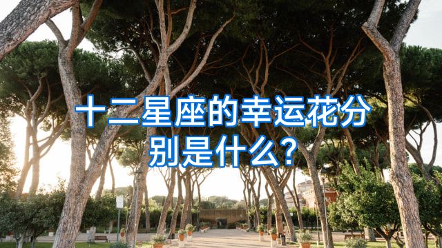 十二星座的幸运花分别是什么?