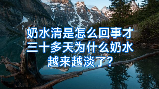 奶水清是怎么回事才三十多天为什么奶水越来越淡了?