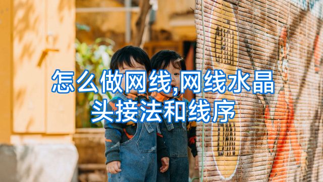 怎么做网线,网线水晶头接法和线序