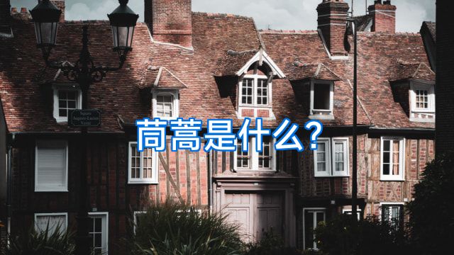 茼蒿是什么?