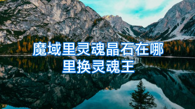 魔域里灵魂晶石在哪里换灵魂王