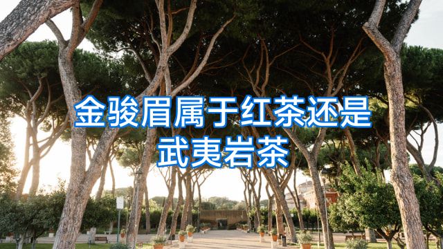 金骏眉属于红茶还是武夷岩茶