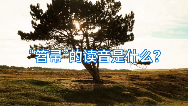 “笤帚”的读音是什么?