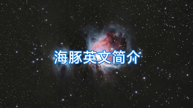 海豚英文简介