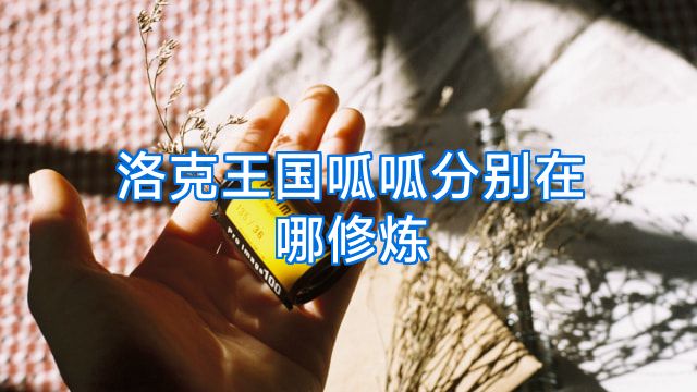 洛克王国呱呱分别在哪修炼