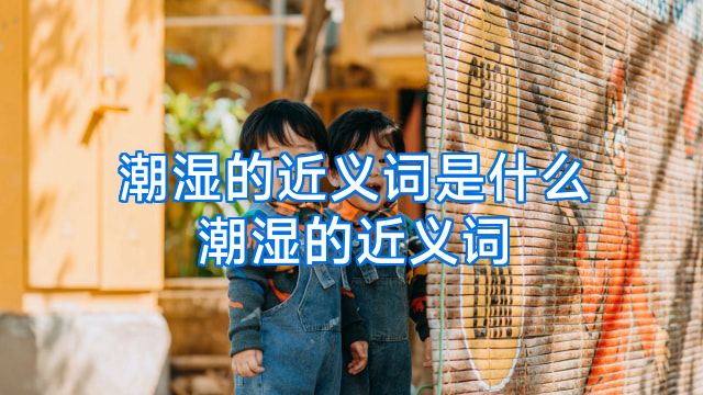 潮湿的近义词是什么潮湿的近义词