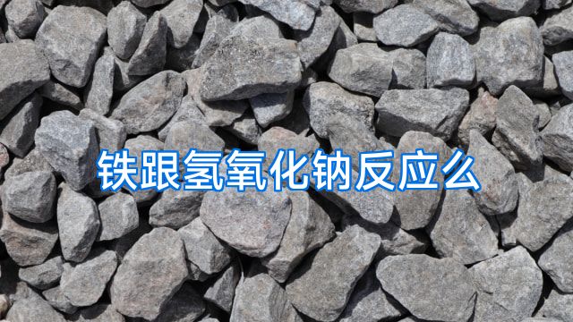 铁跟氢氧化钠反应么