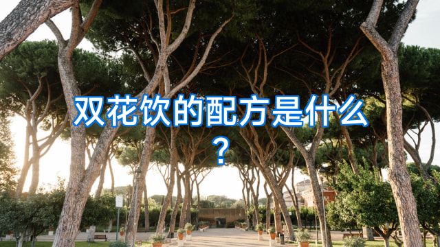 双花饮的配方是什么?