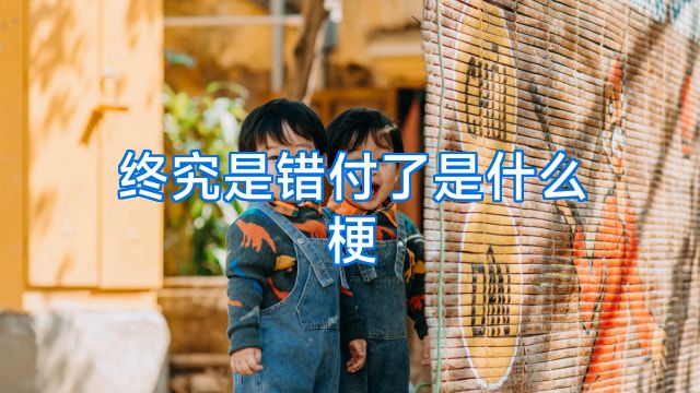 终究是错付了是什么梗