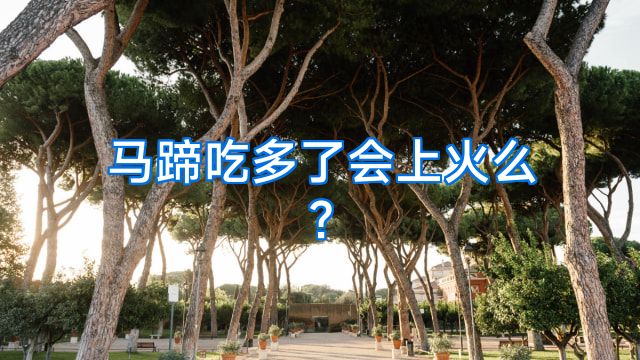 马蹄吃多了会上火么?